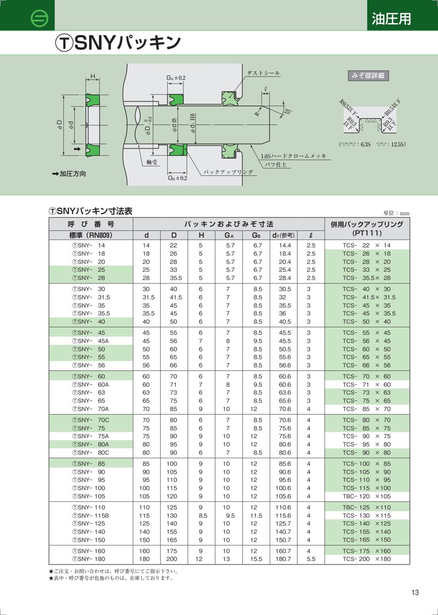 TSNY datasheet preview